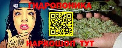 PSILOCYBIN Кандалакша