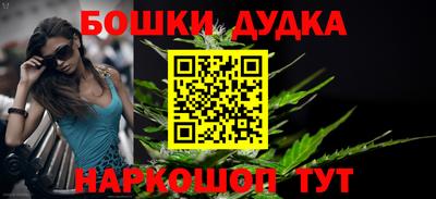 PSILOCYBIN Кандалакша