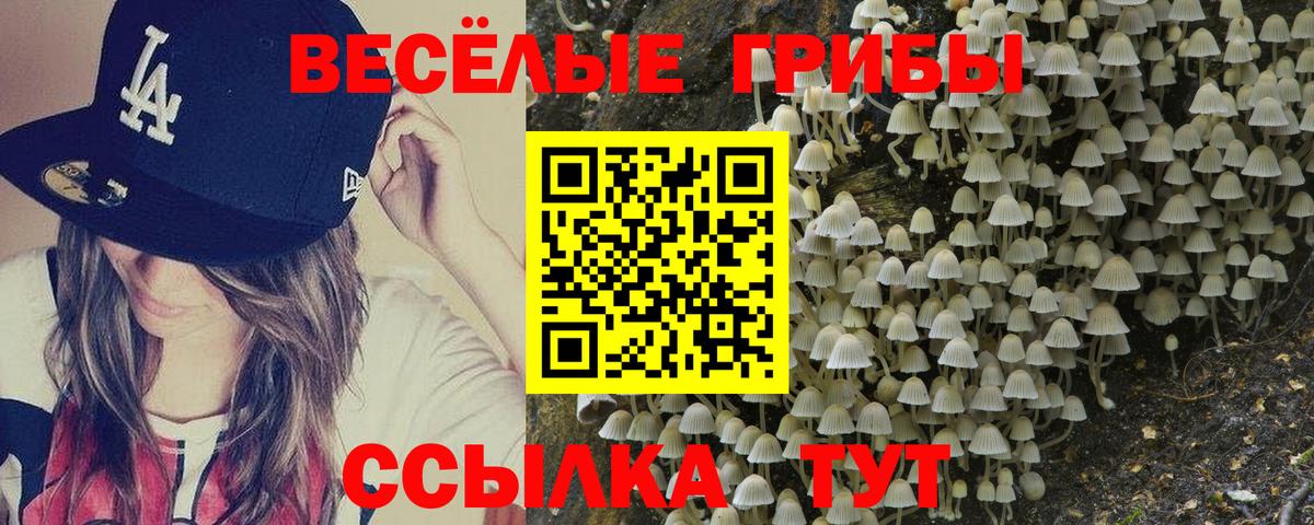 Галлюциногенные грибы Psilocybine cubensis Муром