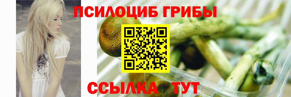 Псилоцибиновые грибы Psilocybe  Вход с VPN  Муром 
